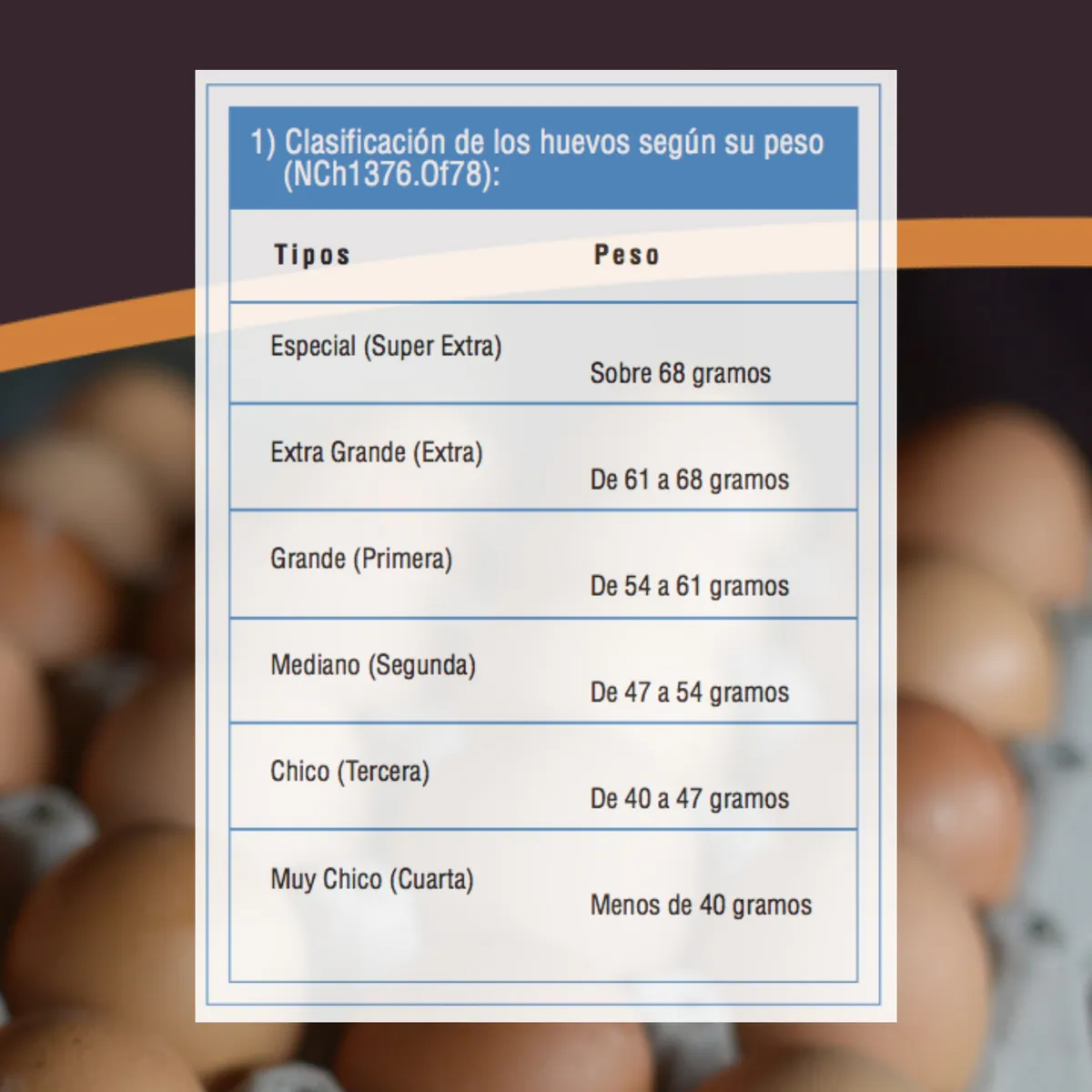 Huevos La Granja Gallina Libre Caja 100 Extra - Imagen 2