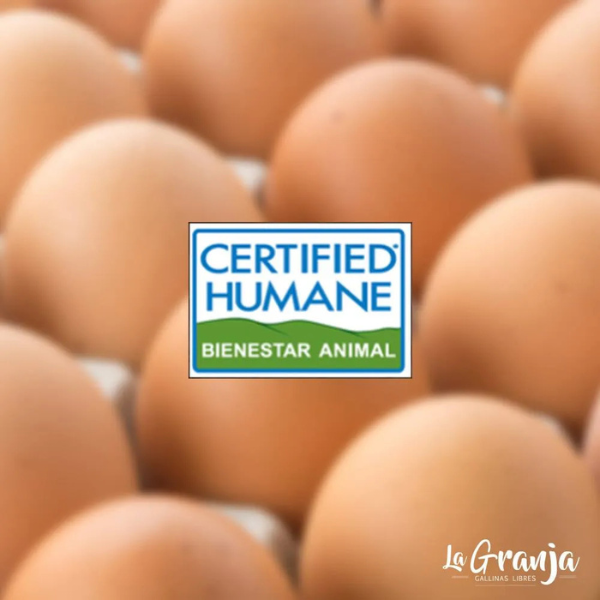 Huevos La Granja Gallina Libre Caja 100 Extra - Imagen 4
