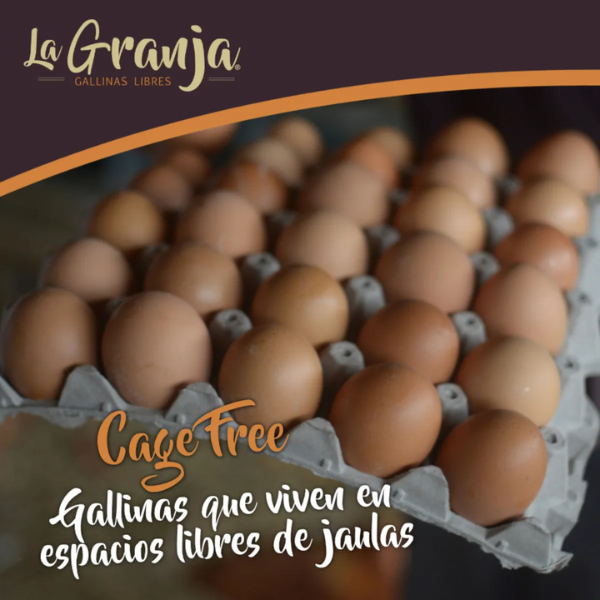 Huevos La Granja Gallina Libre Caja 100 Extra